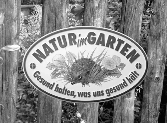 Natur im Garten