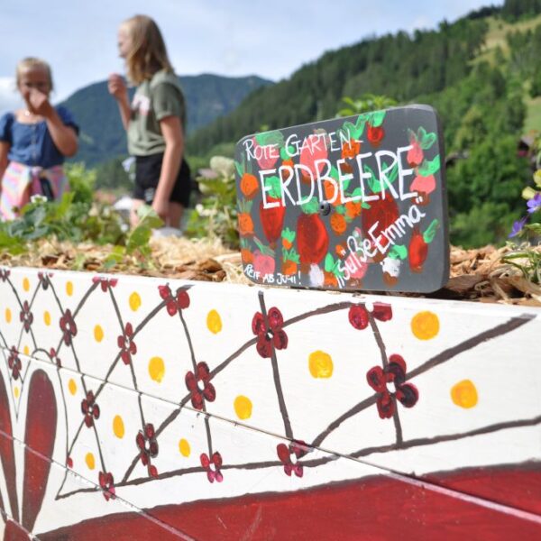 Jostabeere, Mausemelone und Süßkraut am Essbaren Schulweg in Matrei