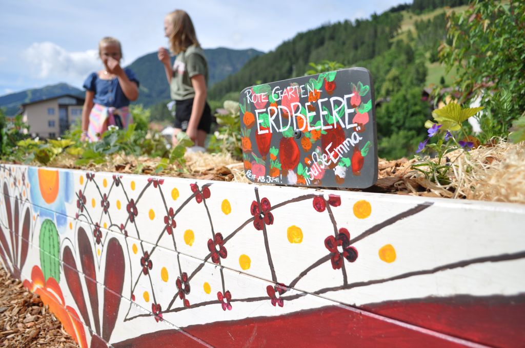 Jostabeere, Mausemelone und Süßkraut am Essbaren Schulweg in Matrei