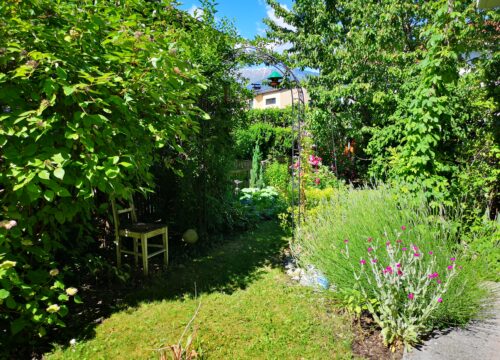 Gartenhecken mal anders – mehr als Kirschlorbeer und Thuja, 28.09.2023