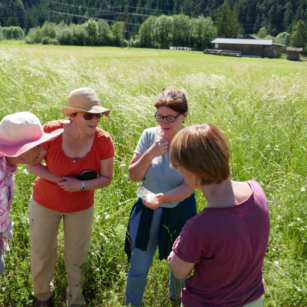 Workshops für Gemeinschaftsgärten