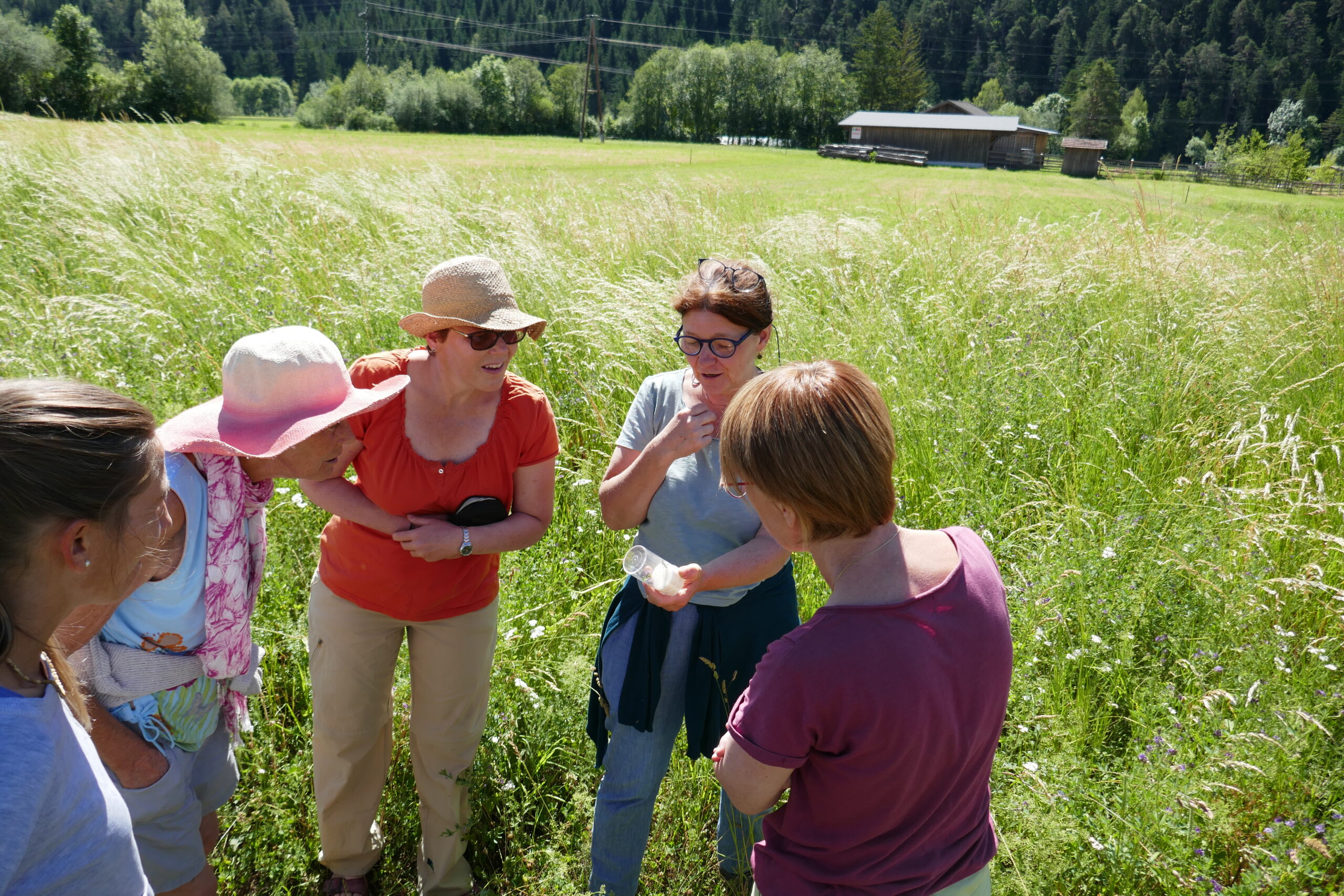 Workshops für Gemeinschaftsgärten