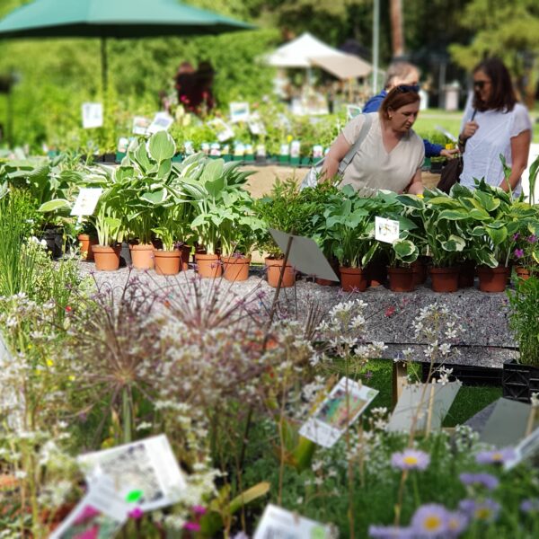 Blühende Träume – Tiroler Gartentage 2022
