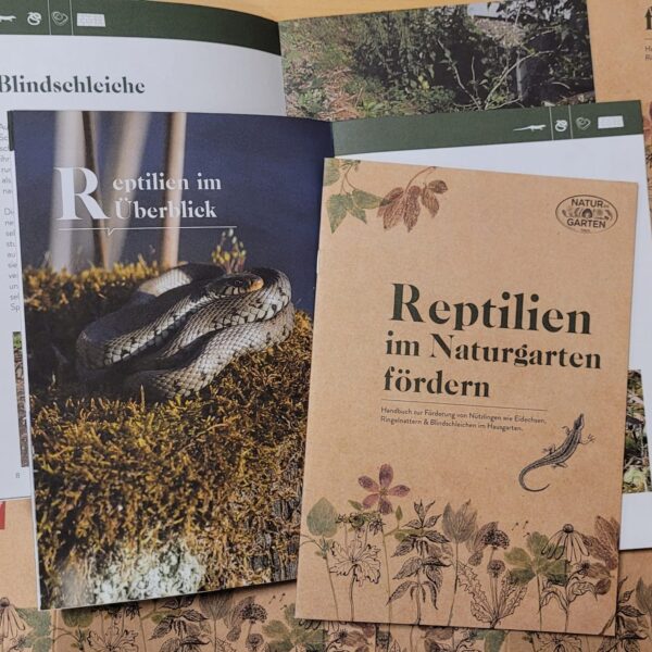 Neu: Broschüre „Reptilien im Naturgarten fördern“!