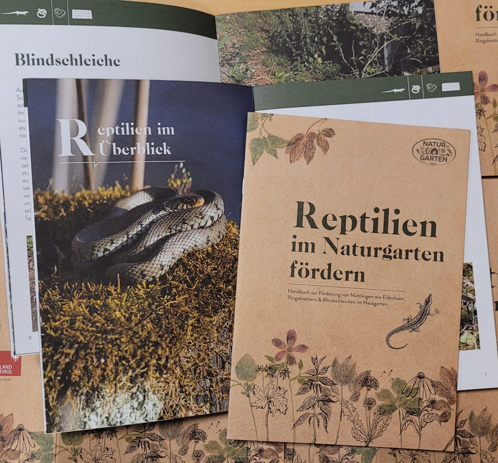 Neu: Broschüre „Reptilien im Naturgarten fördern“!