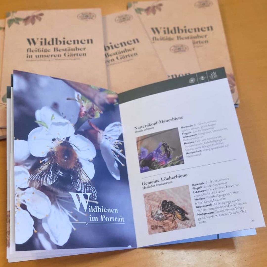 Die neue Broschüre ist da!