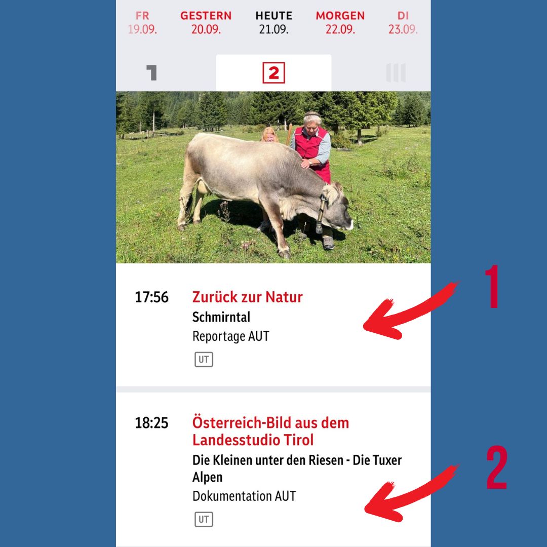 Zwei Chronisten im TV