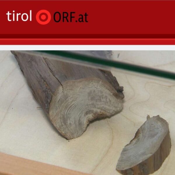 Holzfund in Obertilliach