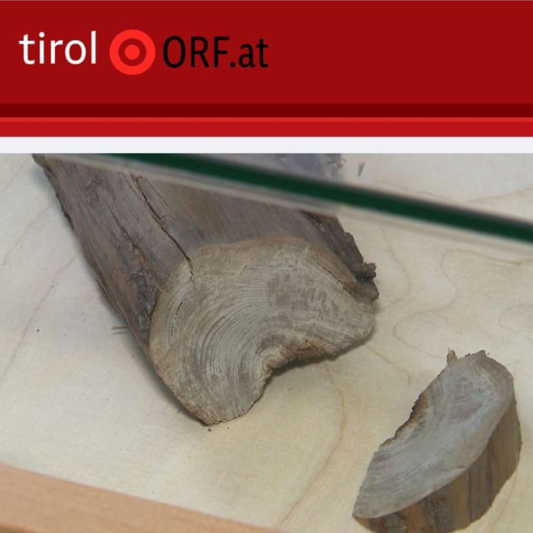 Holzfund in Obertilliach